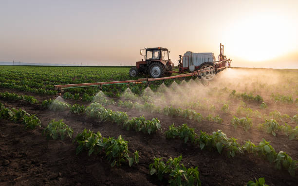 Best Mosquito Control Services  in Tremont, PA